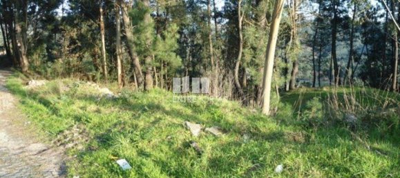 640m² Land in Marco de Canaveses, Portugal No. 173149 2