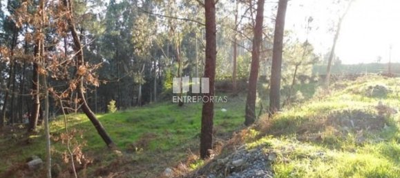 640m² Land in Marco de Canaveses, Portugal No. 173149 4