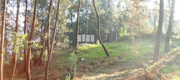 640m² Land in Marco de Canaveses, Portugal No. 173149 5