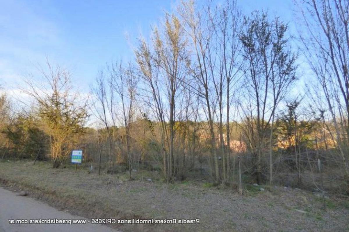 Земельный участок в Кордоба, Аргентина № 46643