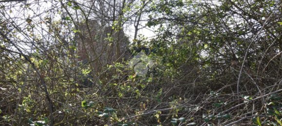 4 bedrooms House in Coriano, Italy No. 168137 20