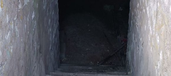 Terrain à Charsonville, France 1568m² No. 103490 13