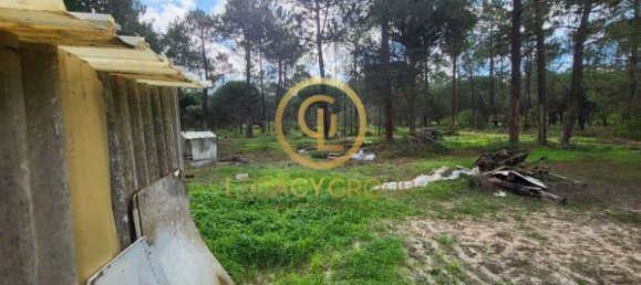 Земельный участок 115000м² в Синиш, Португалия № 88450 24