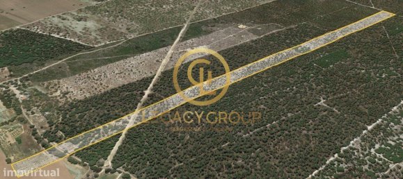 Земельный участок 115000м² в Синиш, Португалия № 88450 11