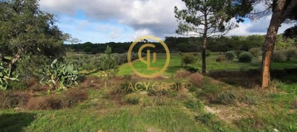 Земельный участок 115000м² в Синиш, Португалия № 88450 8