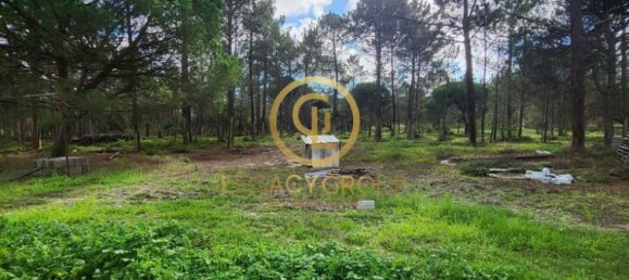 Земельный участок 115000м² в Синиш, Португалия № 88450 25