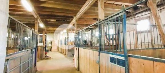 Granja de 14 dormitorios en Uelzen, Germany No. 135350 43