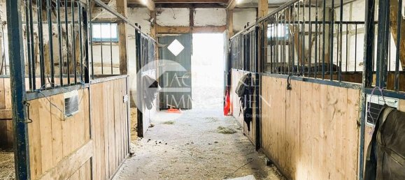 Granja de 14 dormitorios en Uelzen, Germany No. 135350 42