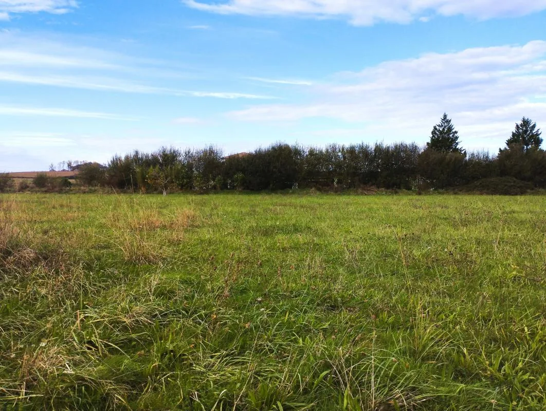 1499m² Land in Landes, France No. 352951