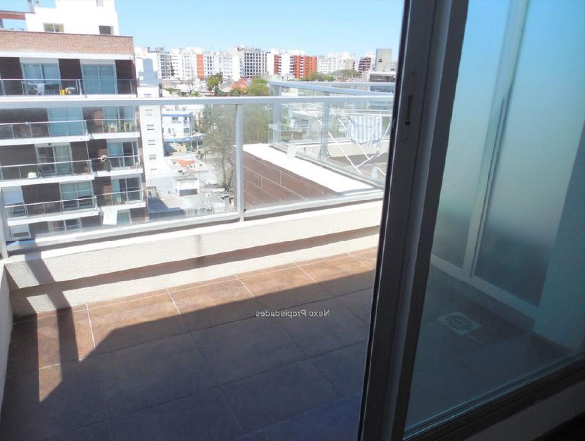 Studio in Montevideo, Uruguay No. 10642