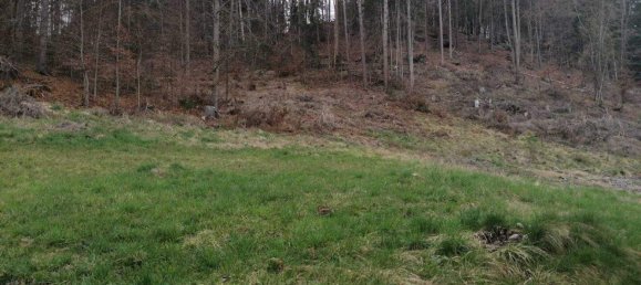  Land in Velden am Worther See, Austria No. 166158 2