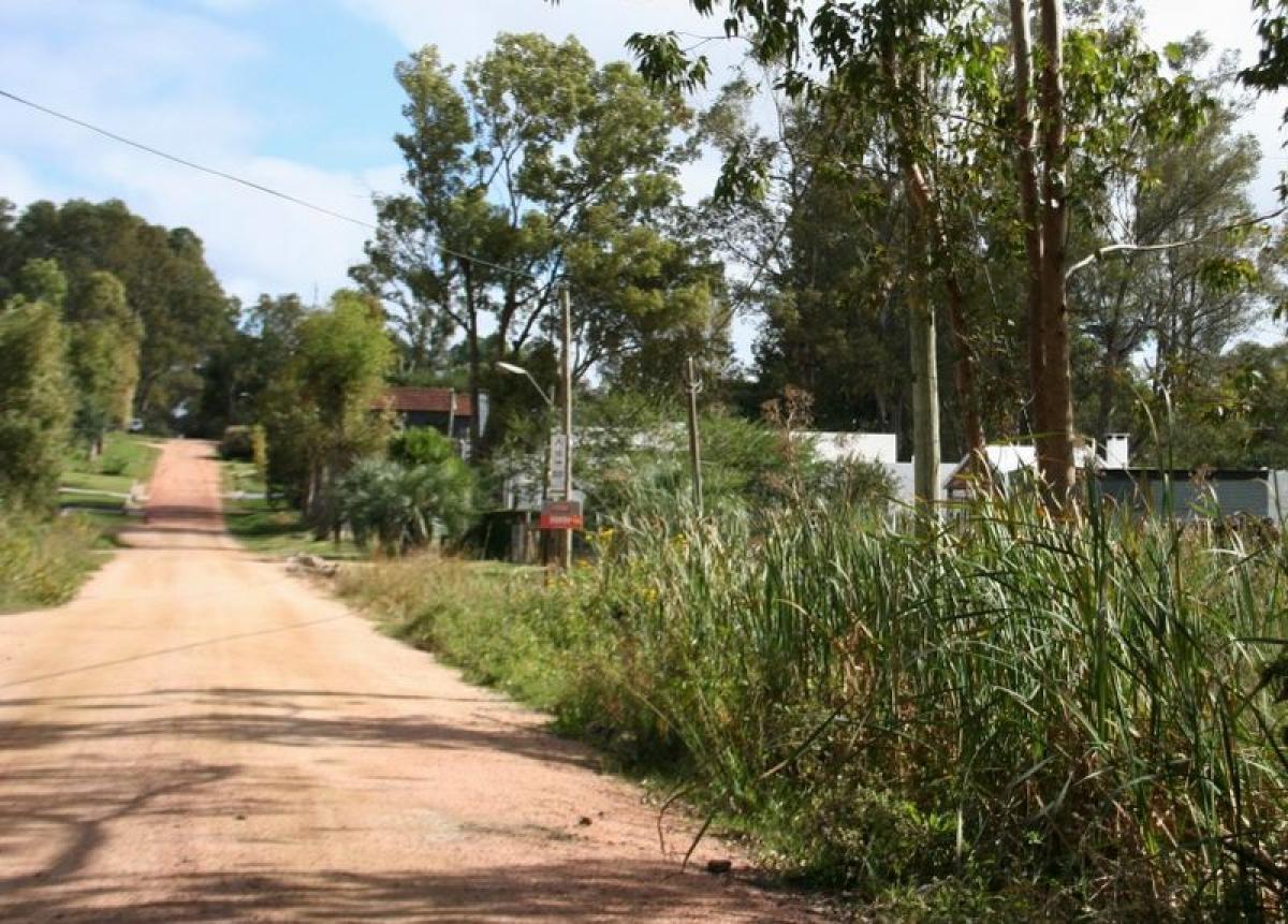  Land in Maldonado, Uruguay No. 13906