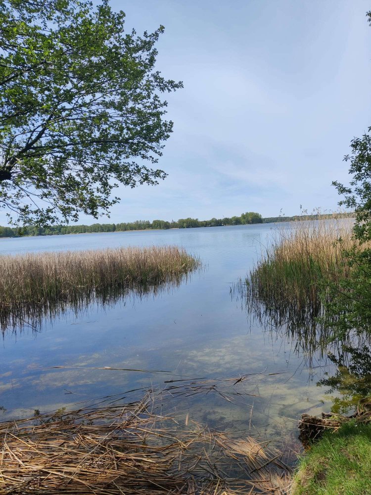  قطعة أرض في Barnim, Germany رقم 230662