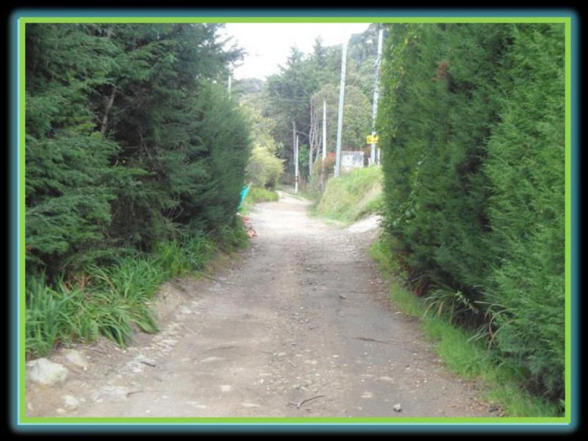 Estudio en Cundinamarca, Colombia No. 2229