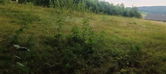  Land in Bad Tatzmannsdorf, Austria No. 130370 5