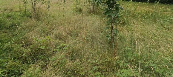  Land in Bad Tatzmannsdorf, Austria No. 130370 6