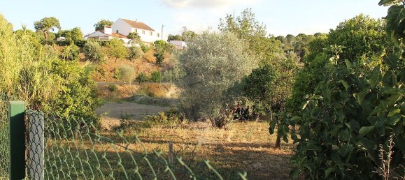 9 chambres Maison à Montargil, Portugal No. 70128 7