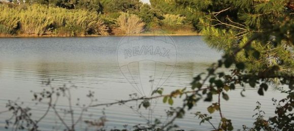 9 chambres Maison à Montargil, Portugal No. 70128 45