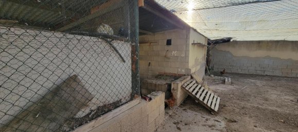 1 bedroom Finca in San Miguel de Salinas, Spain No. 13050 18