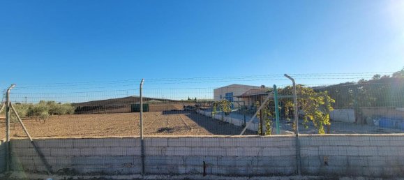 1 bedroom Finca in San Miguel de Salinas, Spain No. 13050 5