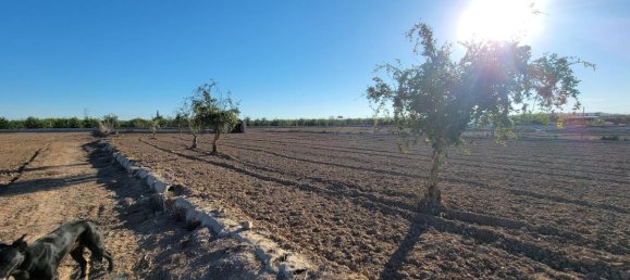 1 bedroom Finca in San Miguel de Salinas, Spain No. 13050 27