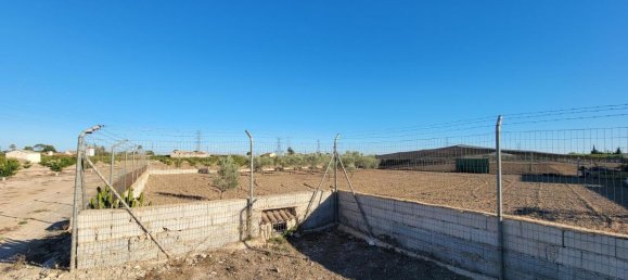 1 bedroom Finca in San Miguel de Salinas, Spain No. 13050 4