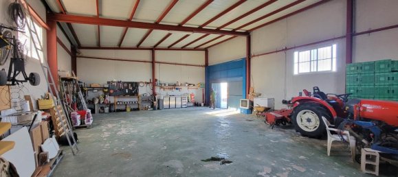 1 bedroom Finca in San Miguel de Salinas, Spain No. 13050 24