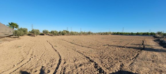 1 bedroom Finca in San Miguel de Salinas, Spain No. 13050 26