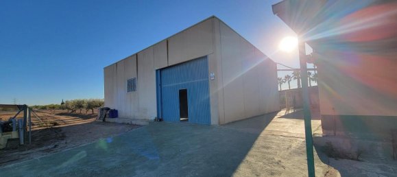 1 bedroom Finca in San Miguel de Salinas, Spain No. 13050 22