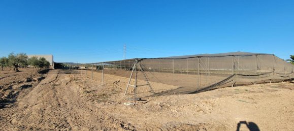 1 bedroom Finca in San Miguel de Salinas, Spain No. 13050 25