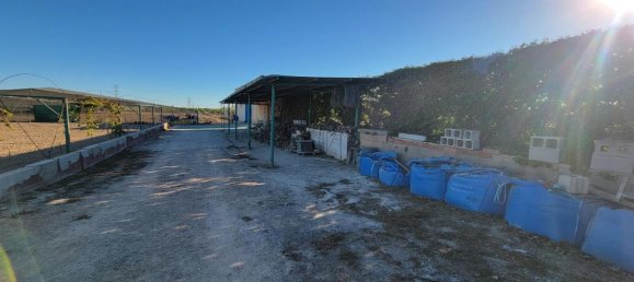 1 bedroom Finca in San Miguel de Salinas, Spain No. 13050 7