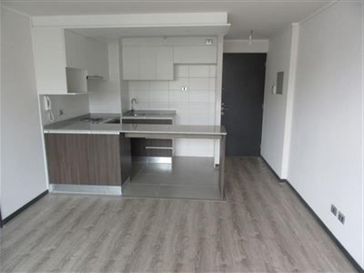 Studio in Santiago, Chile No. 3805