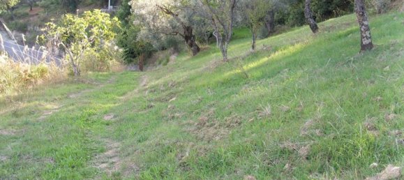 11000m² Land in Agropoli, Italy No. 166815 15