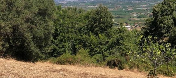 11000m² Land in Agropoli, Italy No. 166815 4