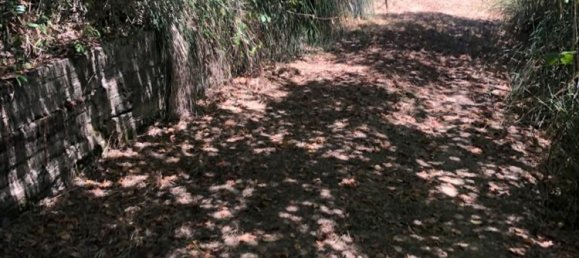 11000m² Land in Agropoli, Italy No. 166815 7