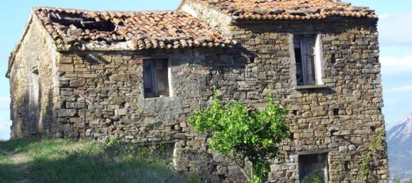 11000m² Land in Agropoli, Italy No. 166815 12