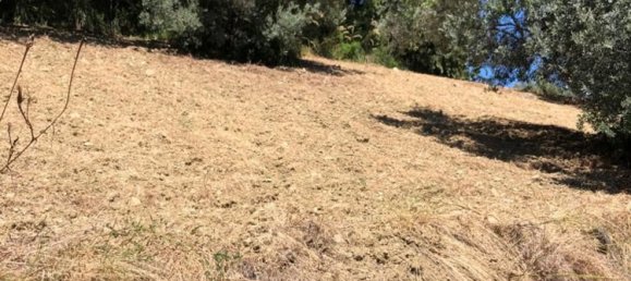 11000m² Land in Agropoli, Italy No. 166815 5