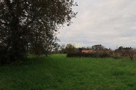 1300m² Land in Palhaca, Portugal No. 86282