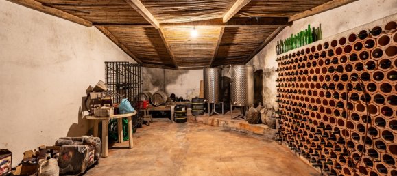 12 Schlafzimmer Haus in Setubal, Portugal, Nr. 143953 50