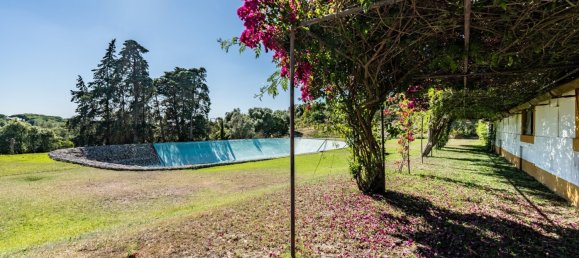 12 Schlafzimmer Haus in Setubal, Portugal, Nr. 143953 31