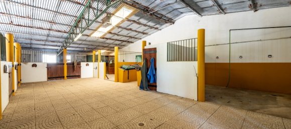 12 Schlafzimmer Haus in Setubal, Portugal, Nr. 143953 34