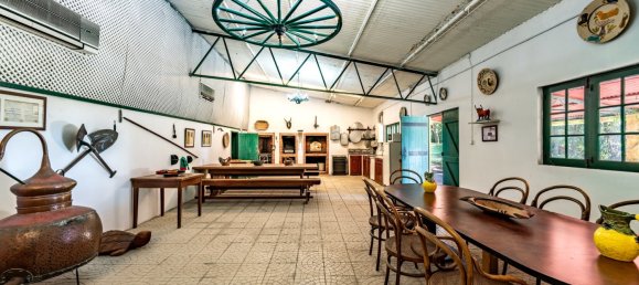 12 Schlafzimmer Haus in Setubal, Portugal, Nr. 143953 36