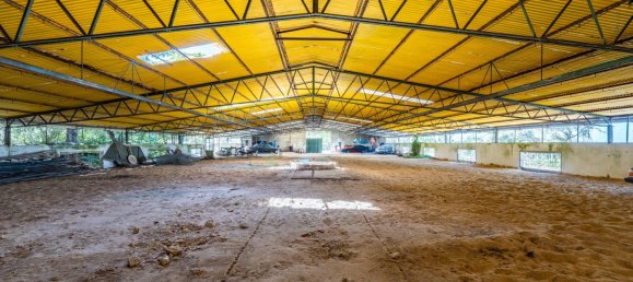 12 Schlafzimmer Haus in Setubal, Portugal, Nr. 143953 38