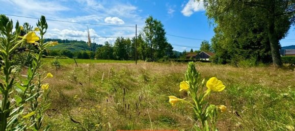1090m² Land in Le Thillot, France No. 262662 2