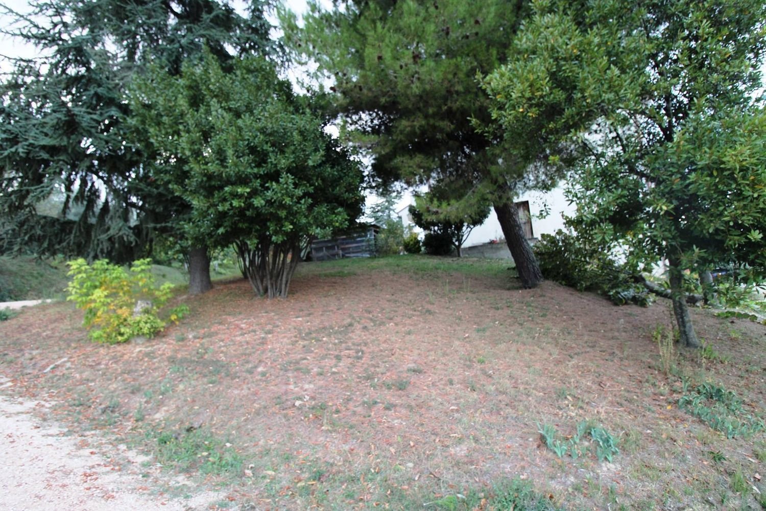 10000m² Land in Potenza Picena, Italy No. 351488