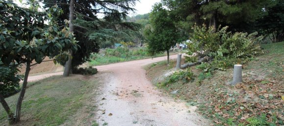 10000m² Land in Potenza Picena, Italy No. 351488 4