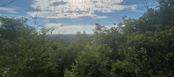 Terrain à Verona, Italy 6318m² No. 296515 11