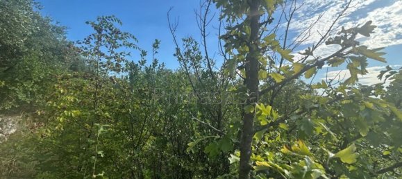 Terrain à Verona, Italy 6318m² No. 296515 12