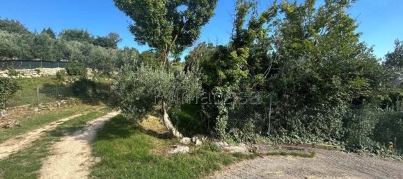 Terrain à Verona, Italy 6318m² No. 296515 4