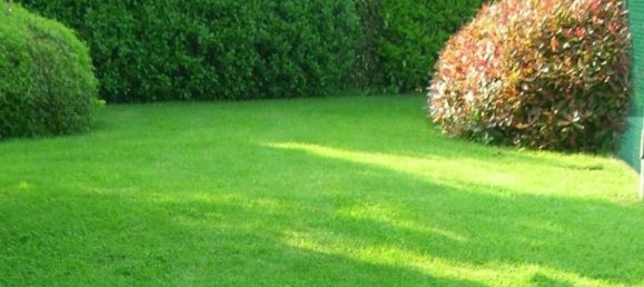 قطعة أرض في Mirandola, Italy رقم 153346 3